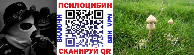 shop наркотические препараты  Крымск  Галлюциногенные грибы ЛСД 